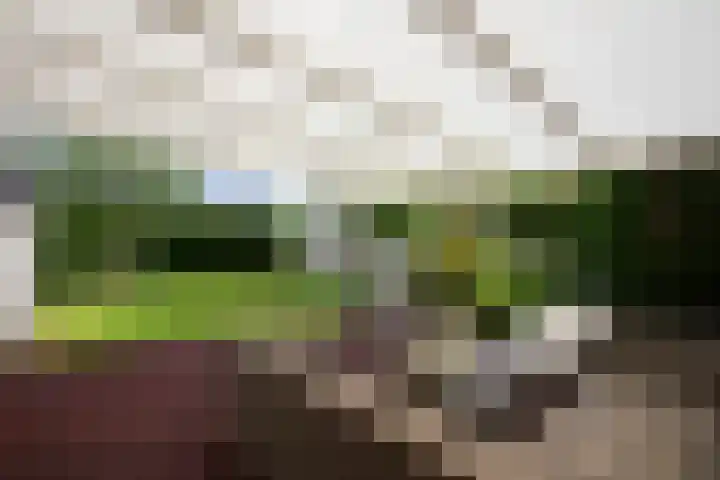 De Vaart 103 Geleen thumbnail 27