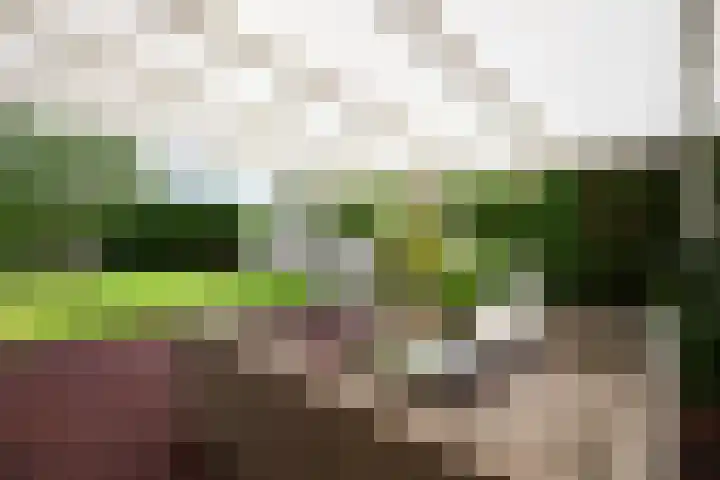 De Vaart 103 Geleen thumbnail 28