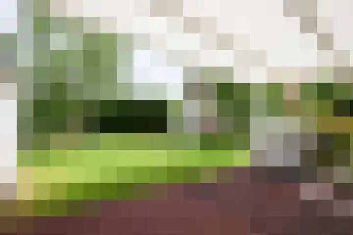 De Vaart 103 Geleen thumbnail 29