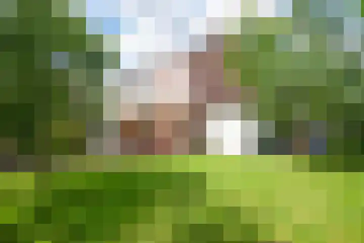 De Vaart 103 Geleen foto 3