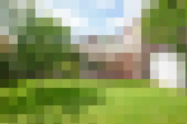 De Vaart 103 Geleen thumbnail 31