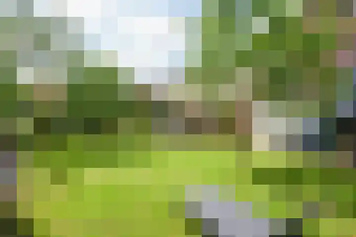 De Vaart 103 Geleen thumbnail 32