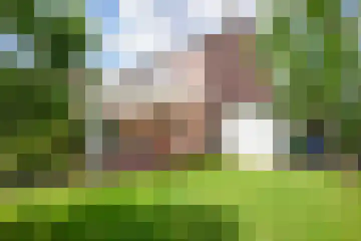De Vaart 103 Geleen thumbnail 33