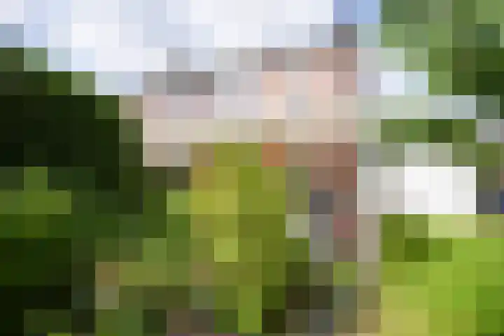 De Vaart 103 Geleen thumbnail 35