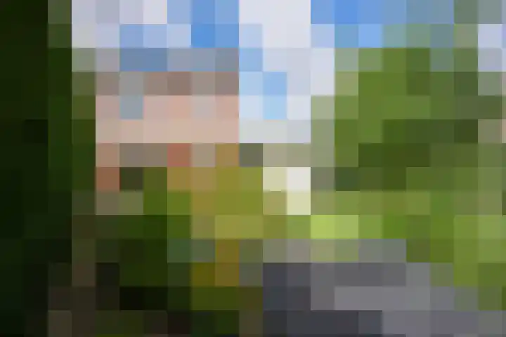 De Vaart 103 Geleen thumbnail 36