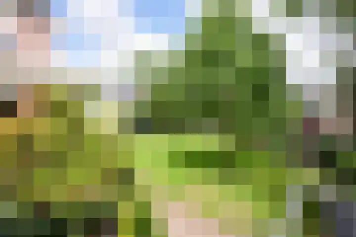 De Vaart 103 Geleen thumbnail 37