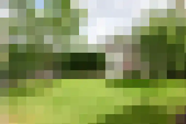 De Vaart 103 Geleen thumbnail 39