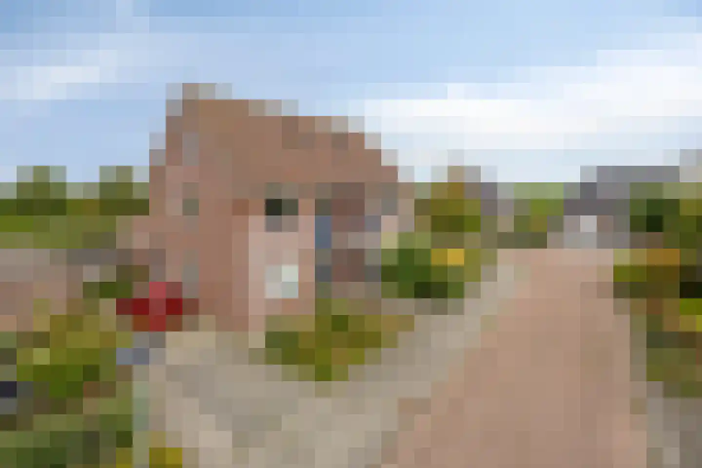 De Vaart 19 Barsingerhorn thumbnail 12