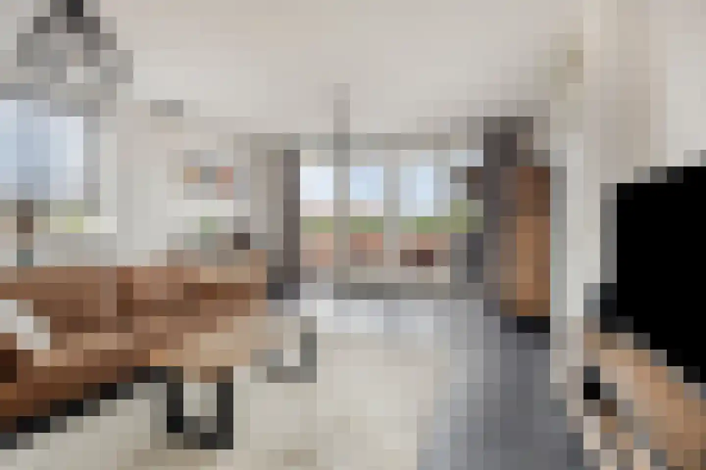 De Vaart 19 Barsingerhorn thumbnail 17