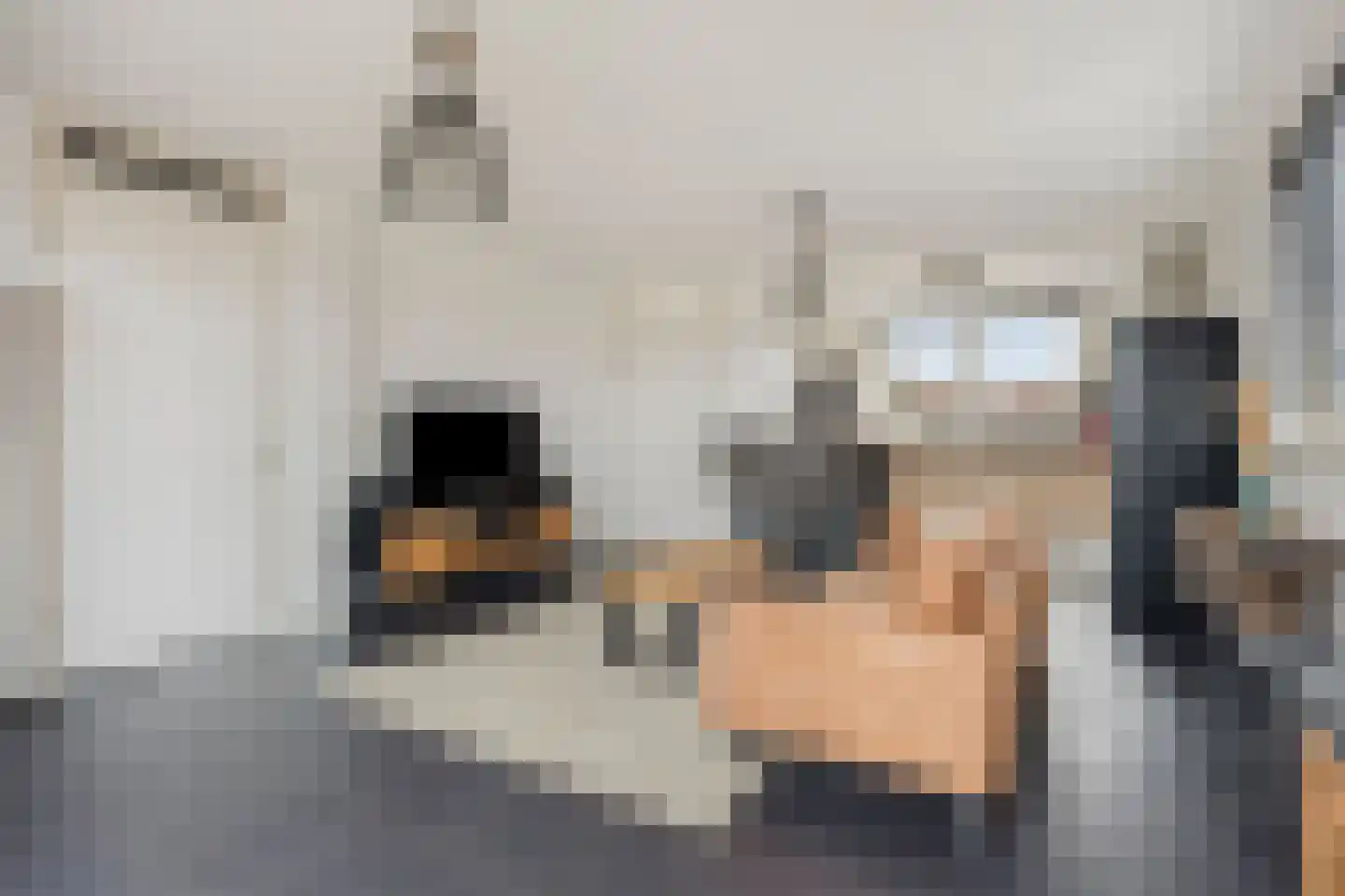 De Vaart 19 Barsingerhorn thumbnail 19