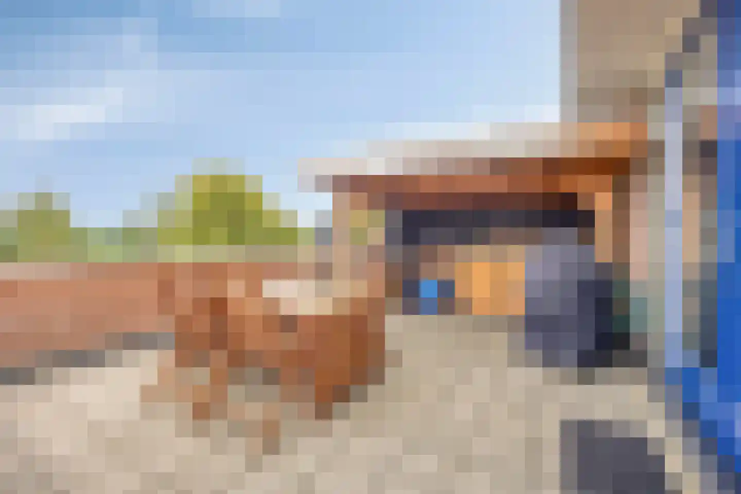De Vaart 19 Barsingerhorn thumbnail 28