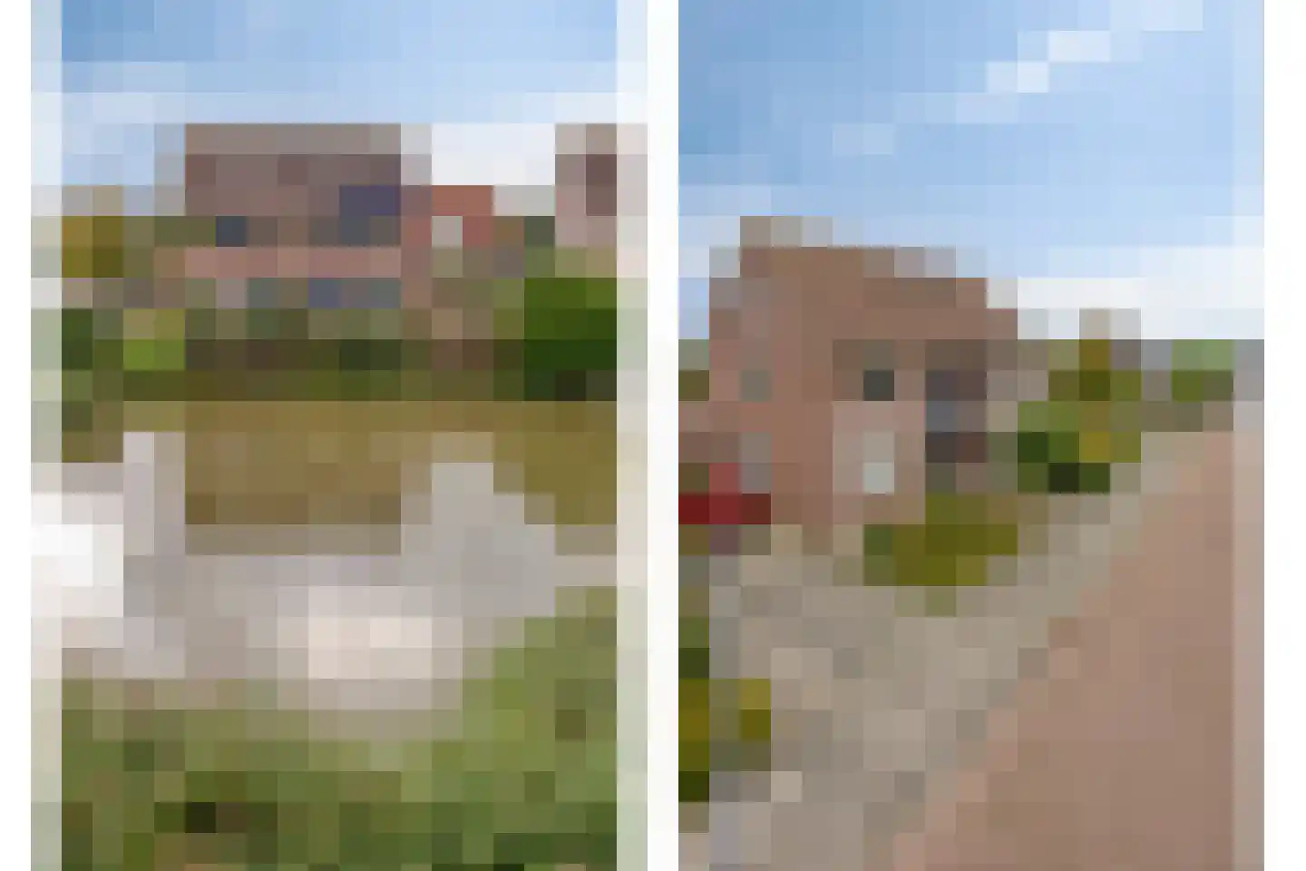De Vaart 19 Barsingerhorn thumbnail 42