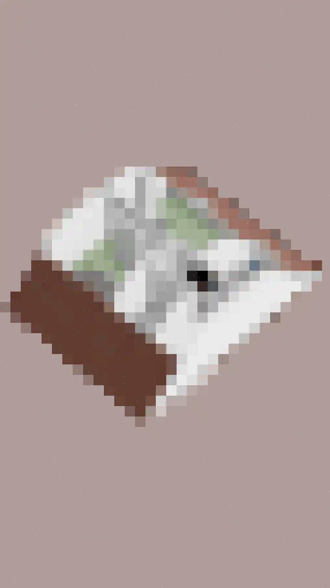 De Vaart 19 Barsingerhorn thumbnail 49