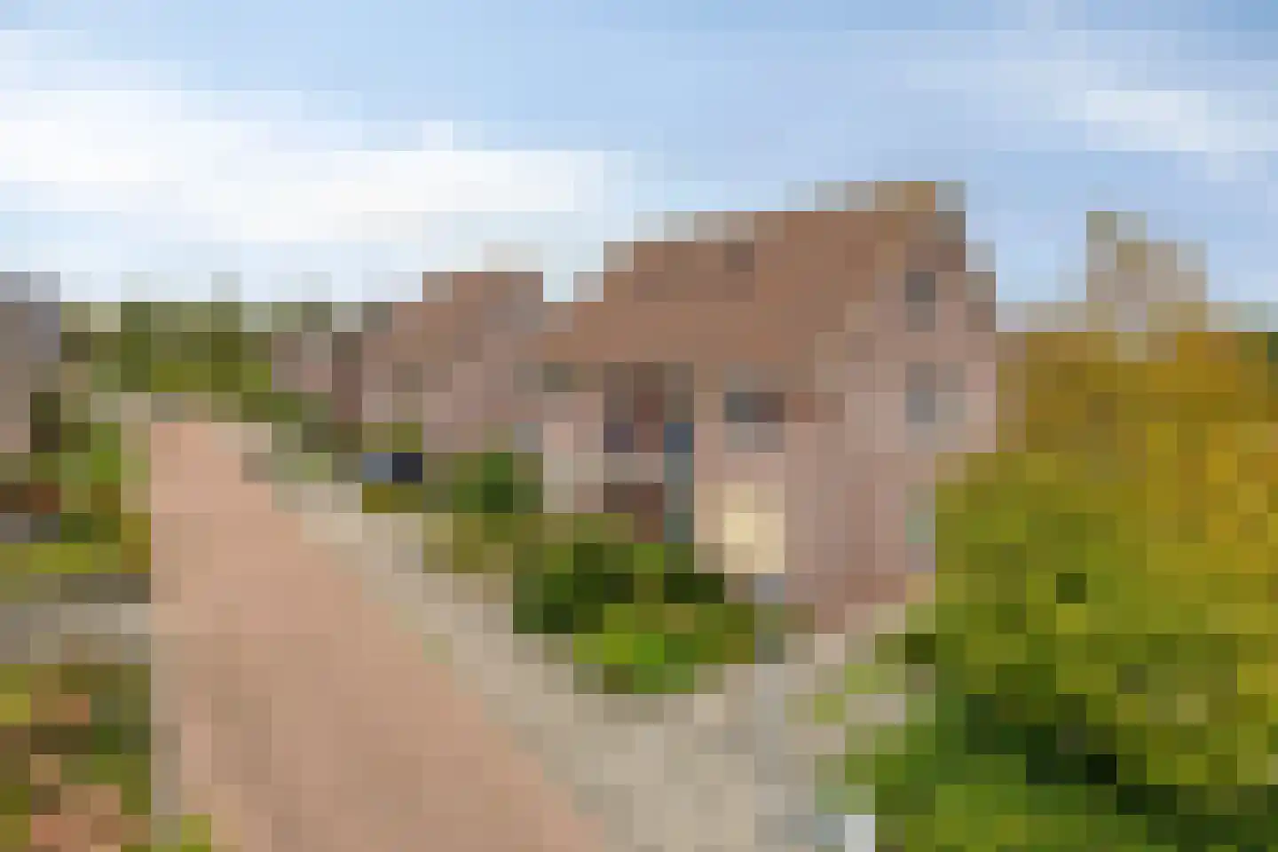 De Vaart 19 Barsingerhorn thumbnail 9