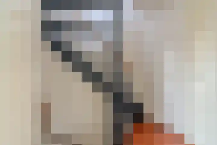 de Vaart 20 Schagen thumbnail 12