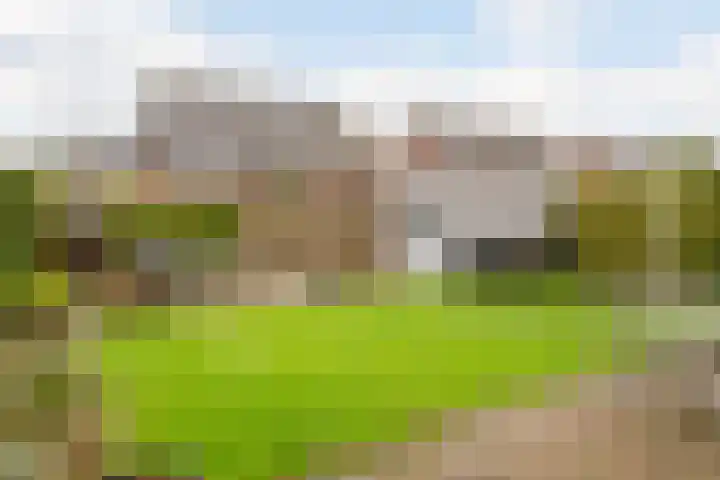 de Vaart 20 Schagen thumbnail 26