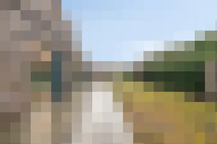 De Vaart 37 Reeve thumbnail 54