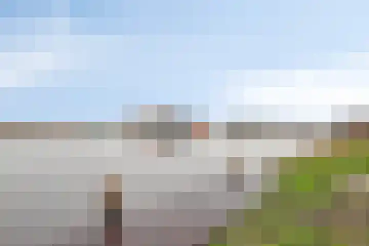 De Vaart 37 Reeve thumbnail 64