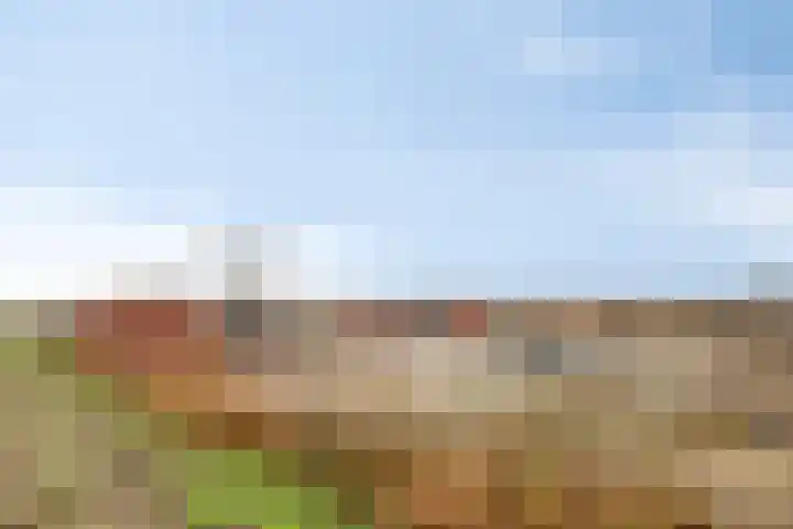 De Vaart 37 Reeve thumbnail 66