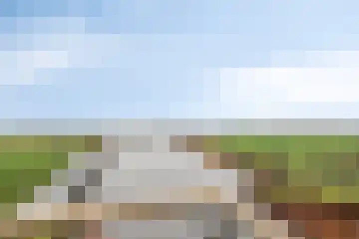 De Vaart 37 Reeve thumbnail 67