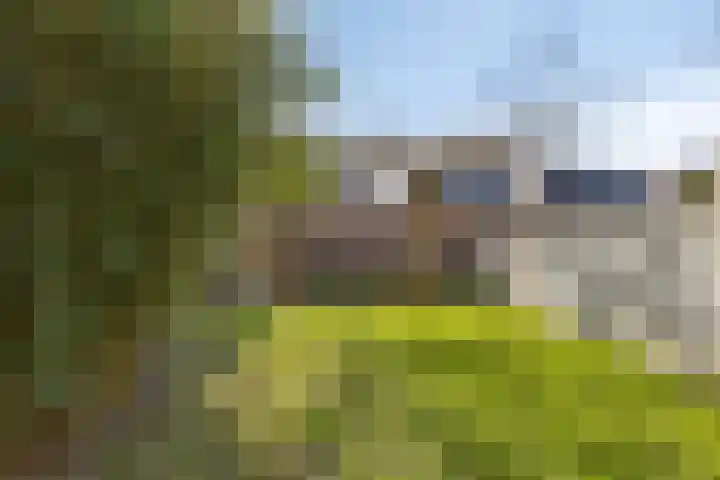 de Vaart 38 Schagen foto 2