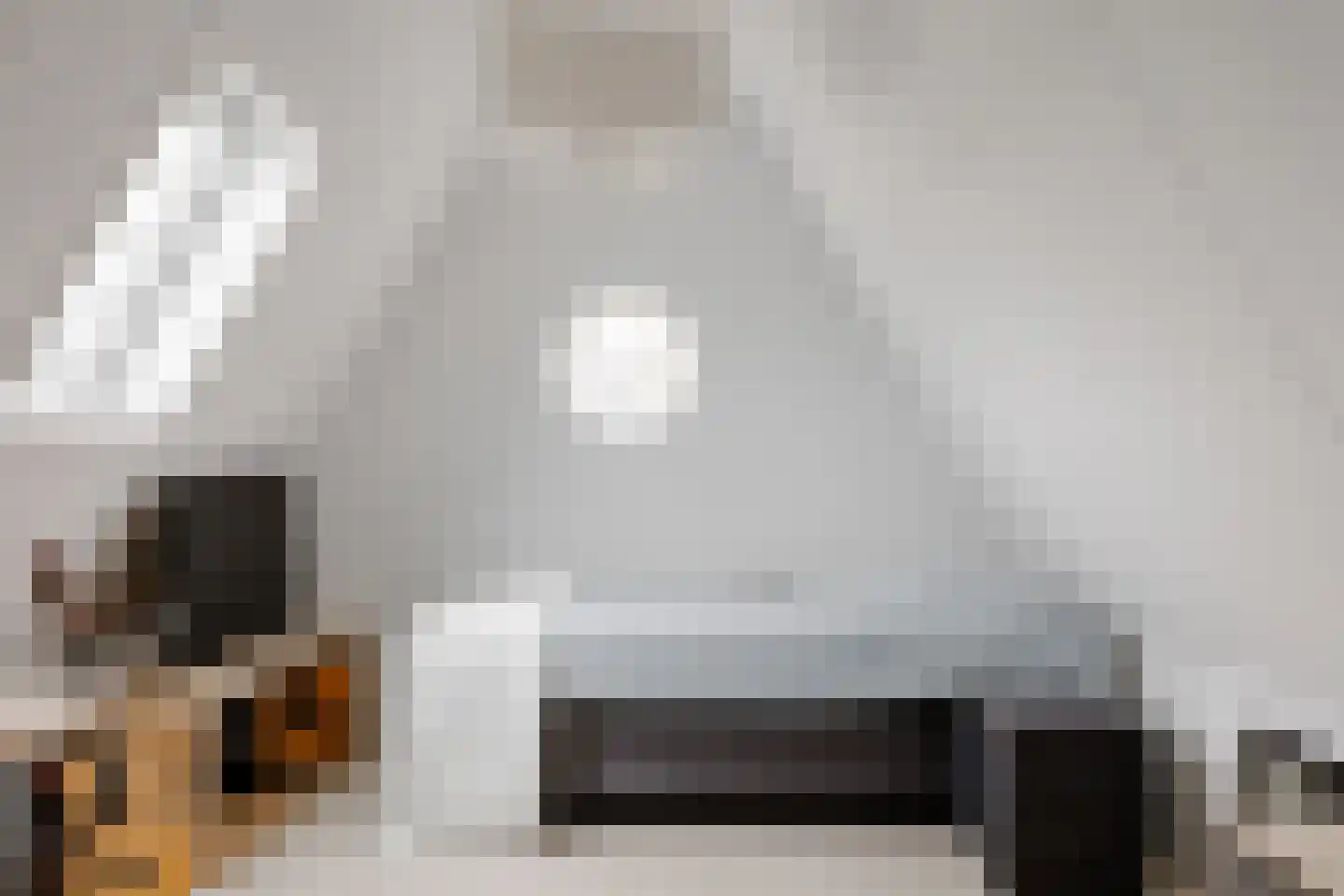 De Vaart 4 Barsingerhorn thumbnail 17