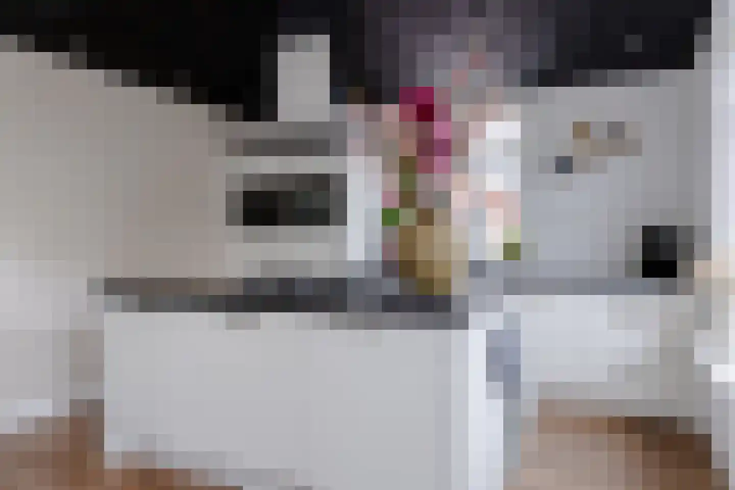 De Vaart 4 Barsingerhorn thumbnail 6