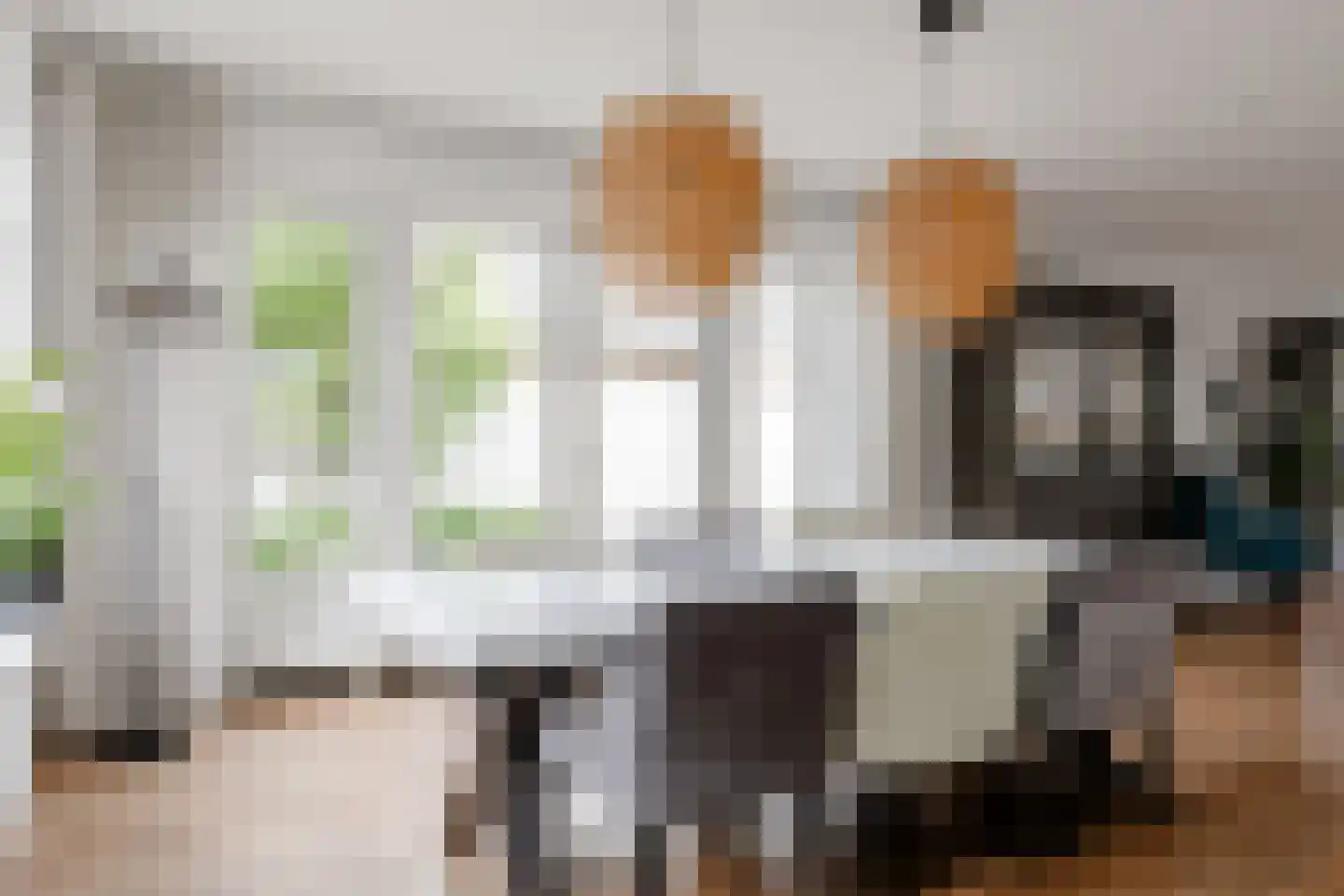 De Vaart 4 Barsingerhorn thumbnail 7