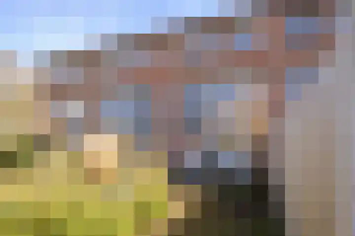 de Vaart 48 Schagen thumbnail 29
