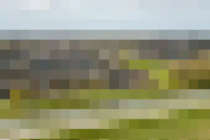 de Vaart 48 Schagen thumbnail 39