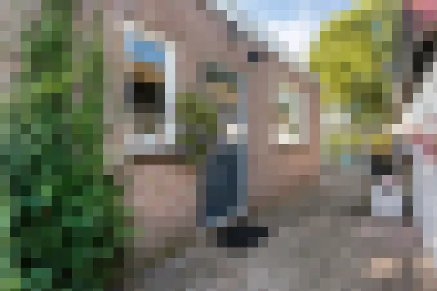 De Vaart 61 Ane thumbnail 42
