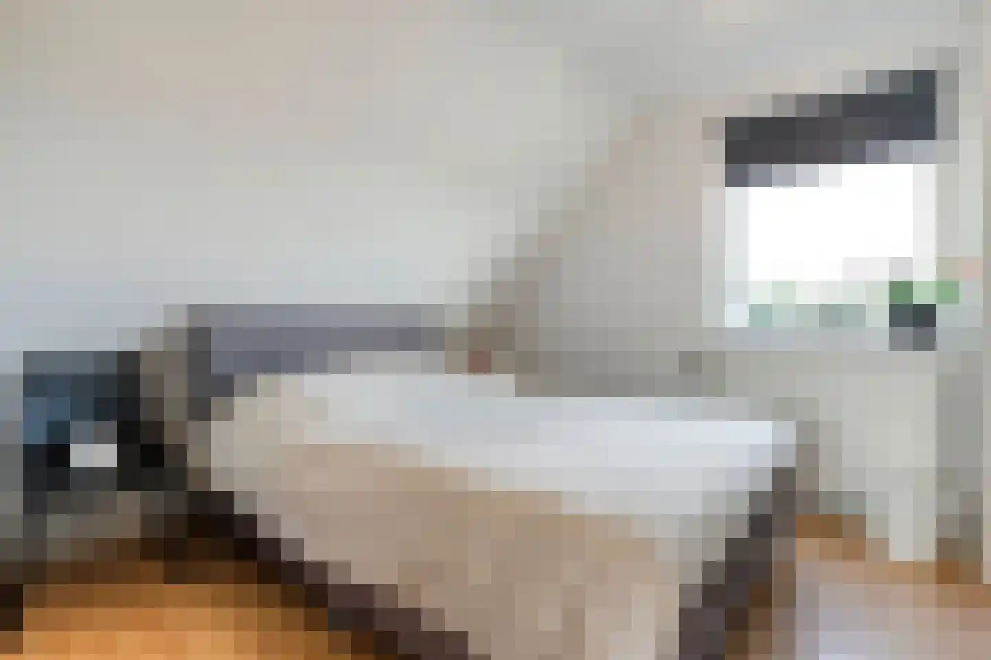 De Vaart 61 Ane thumbnail 6