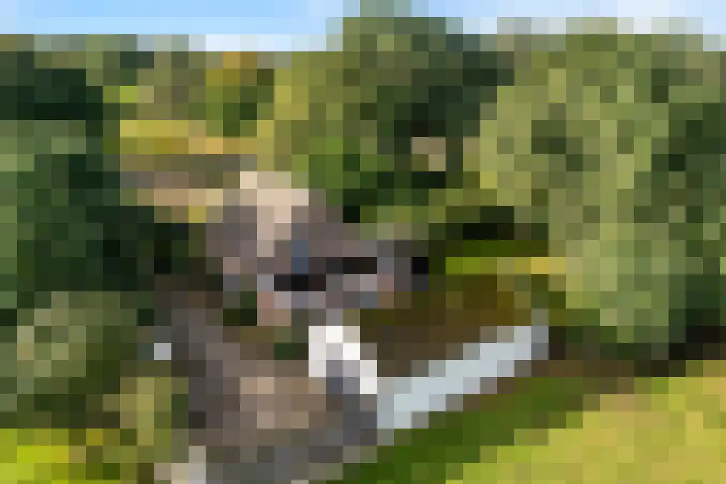 De Vaart 61 Ane thumbnail 64