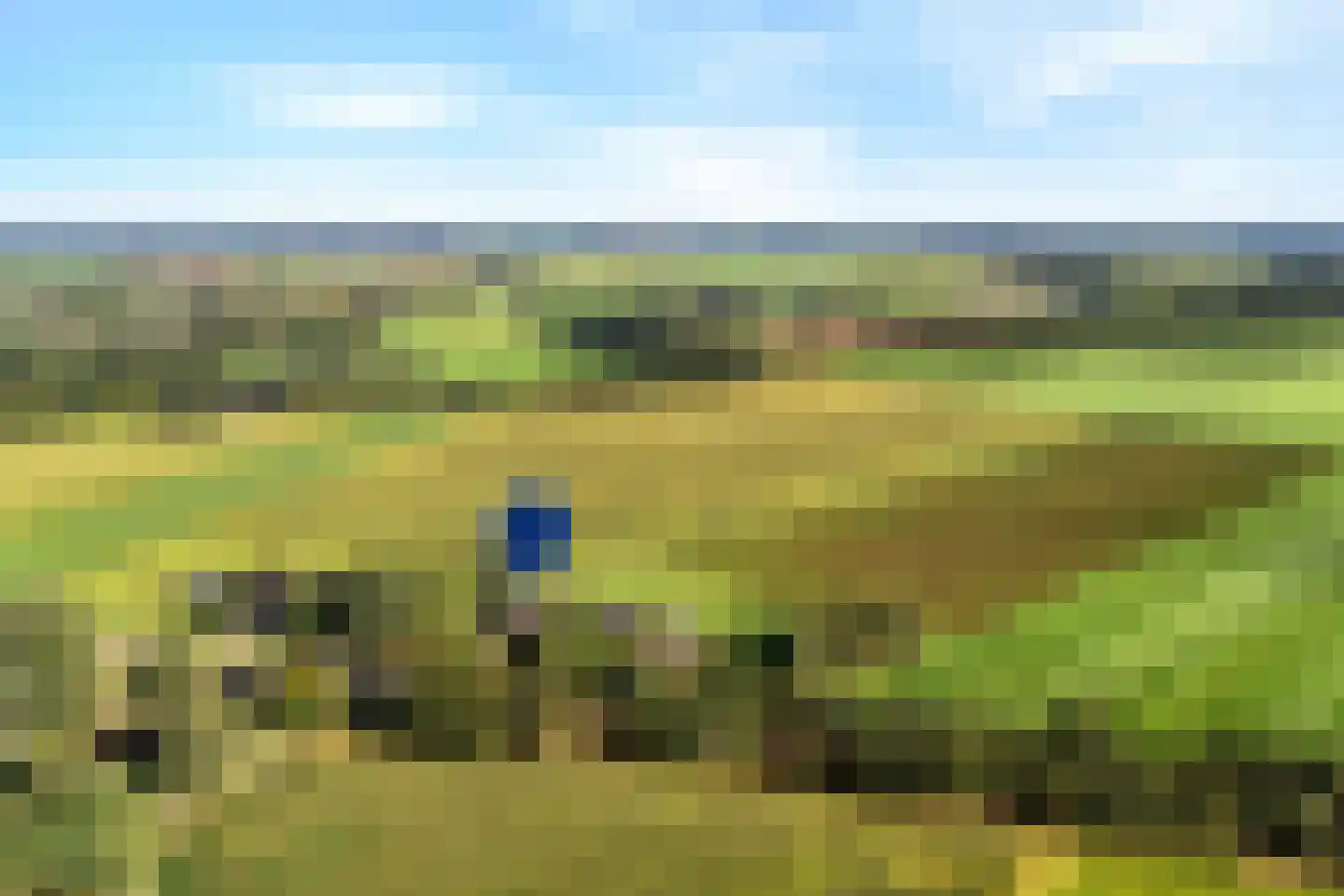 De Vaart 61 Ane thumbnail 8