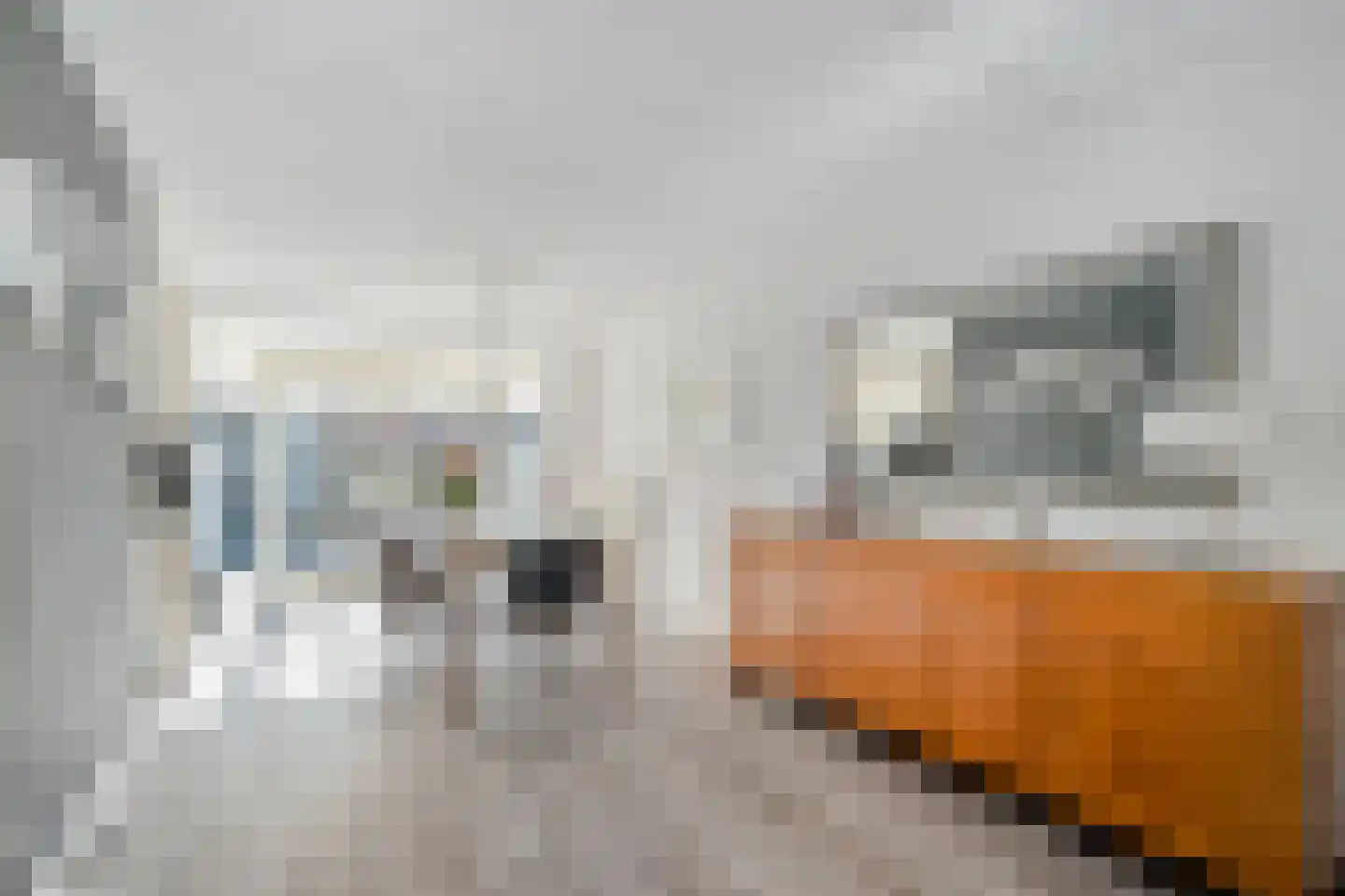 de Vaart 9 Schagen thumbnail 11