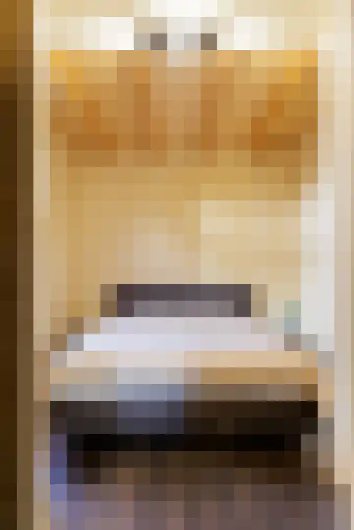 de Vaartgraaf 13 's-Hertogenbosch thumbnail 10
