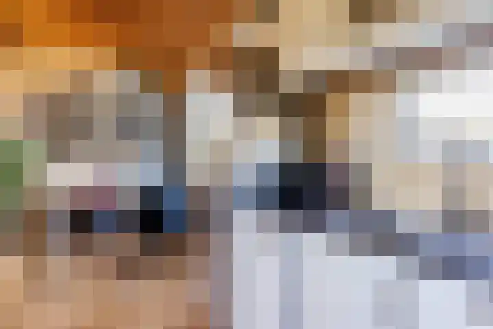 de Vaartgraaf 13 's-Hertogenbosch thumbnail 12