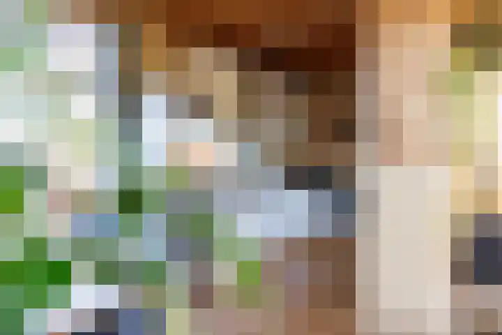de Vaartgraaf 13 's-Hertogenbosch thumbnail 13