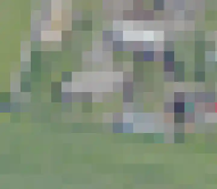 de Vaartgraaf 13 's-Hertogenbosch thumbnail 16