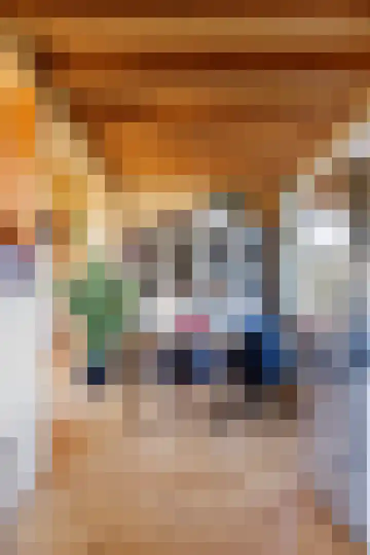 de Vaartgraaf 13 's-Hertogenbosch thumbnail 4