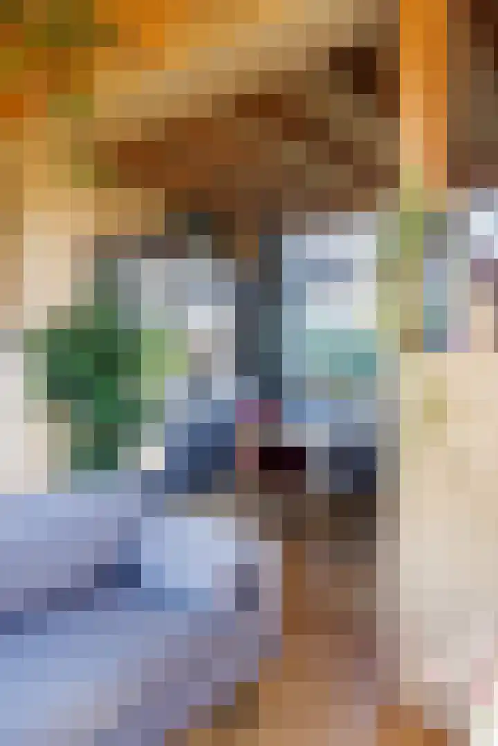 de Vaartgraaf 13 's-Hertogenbosch thumbnail 5