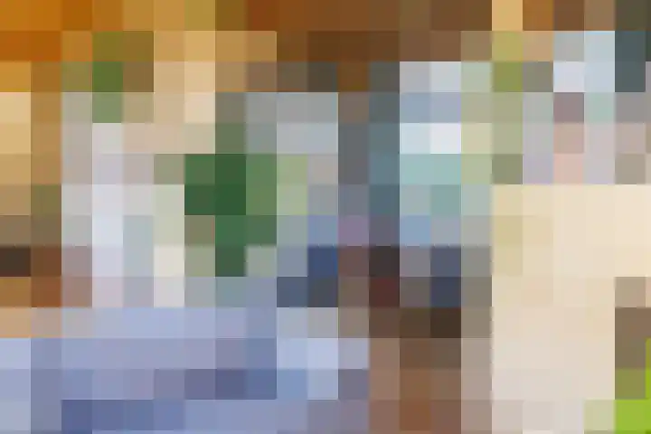 de Vaartgraaf 13 's-Hertogenbosch thumbnail 6