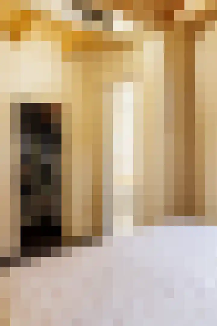 de Vaartgraaf 13 's-Hertogenbosch thumbnail 8