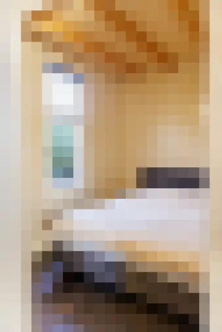 de Vaartgraaf 13 's-Hertogenbosch thumbnail 9