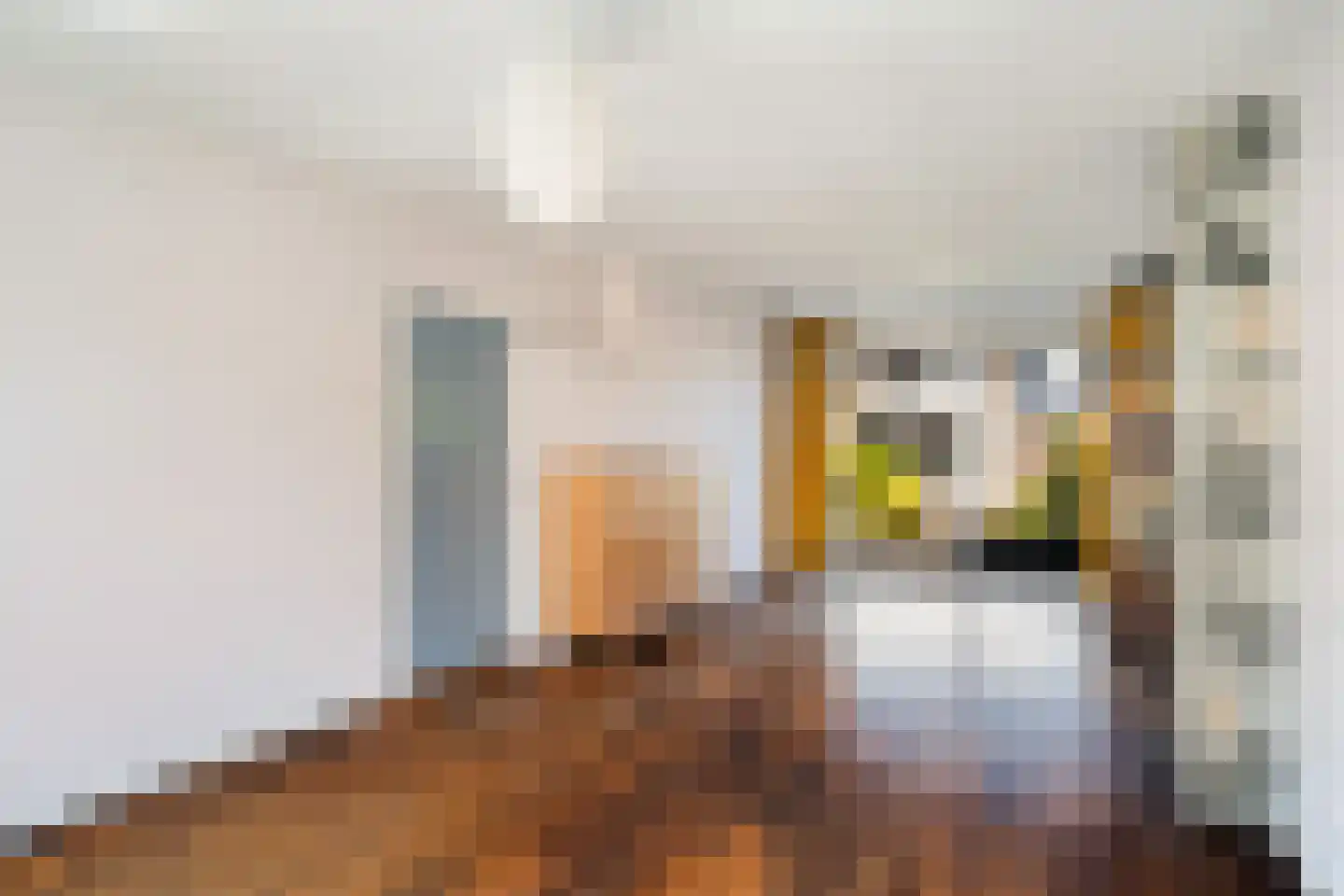 De Vaert 12 Berkel en Rodenrijs thumbnail 10