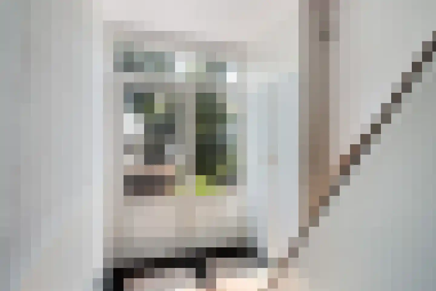 De Vaert 12 Berkel en Rodenrijs thumbnail 11