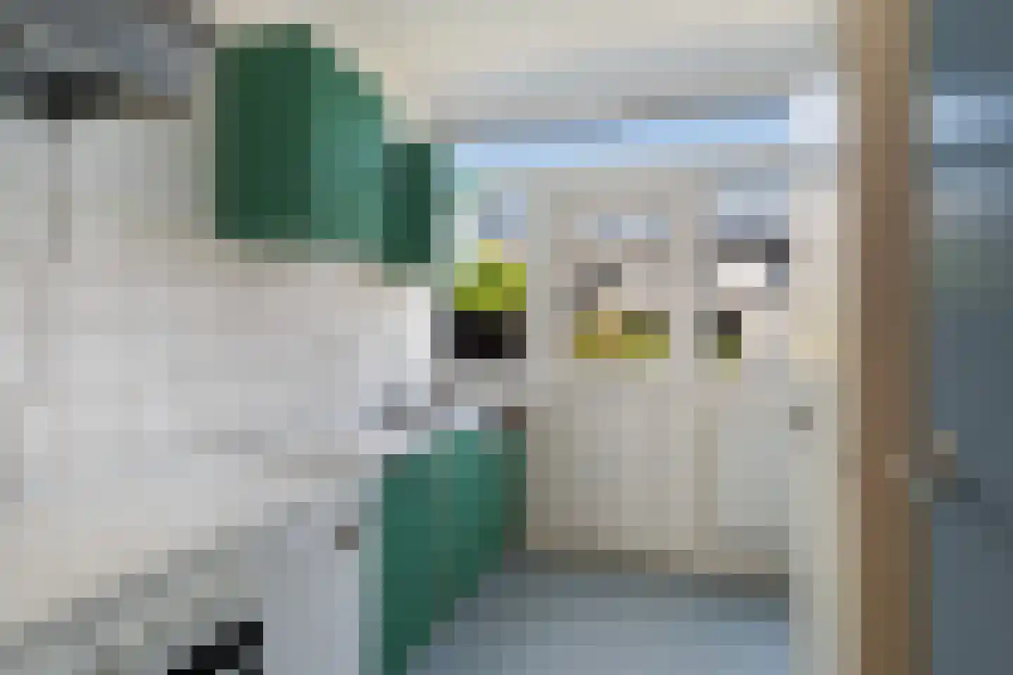 De Vaert 12 Berkel en Rodenrijs thumbnail 12