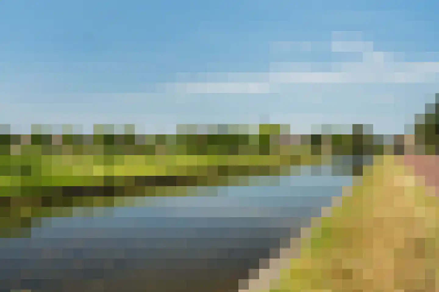 De Vaert 12 Berkel en Rodenrijs thumbnail 40