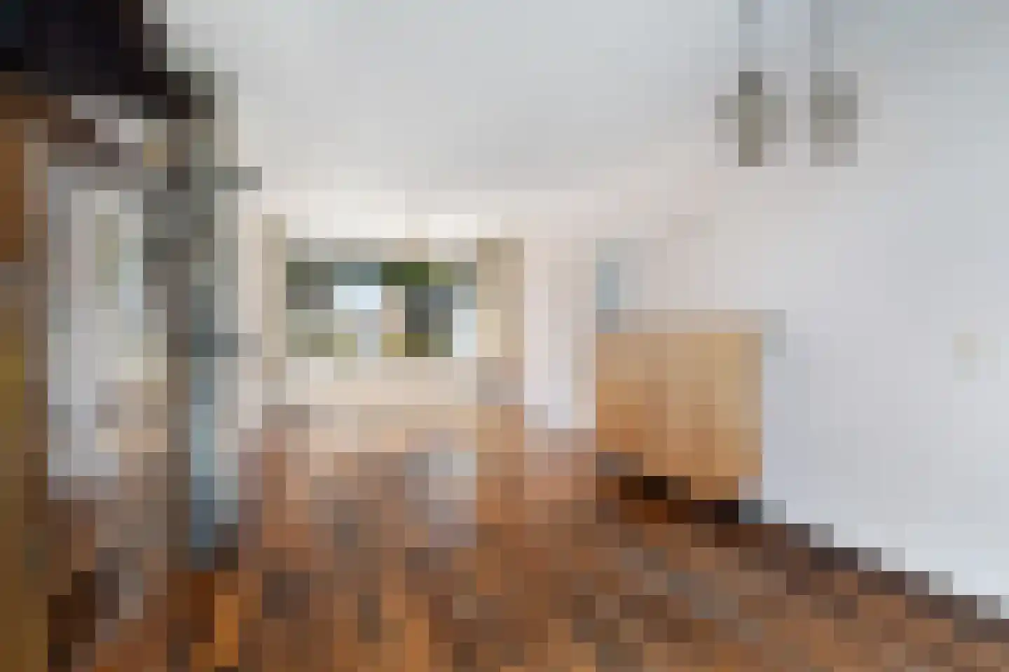 De Vaert 12 Berkel en Rodenrijs thumbnail 5