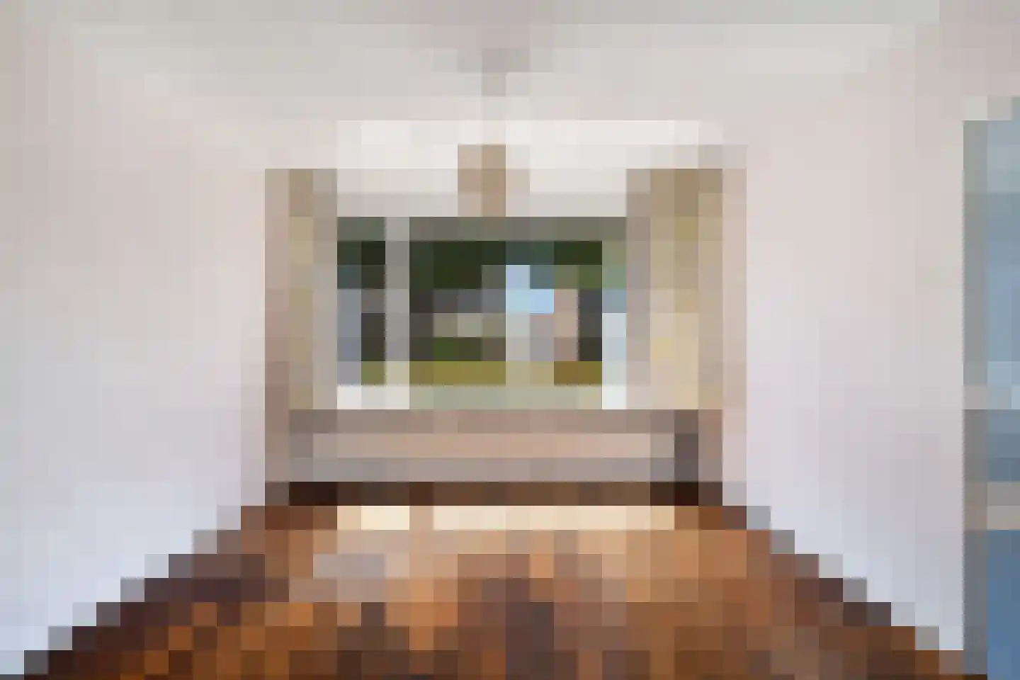 De Vaert 12 Berkel en Rodenrijs thumbnail 6